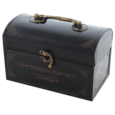 קופסא לאתרוג דמוי עור עם ידית מתכת 13X19X11 ס"מ
